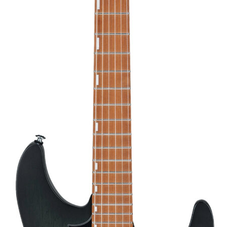 Ibanez EH10-TGM