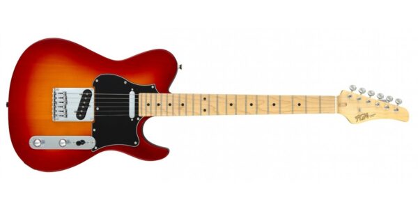 FGN Electric Guitar