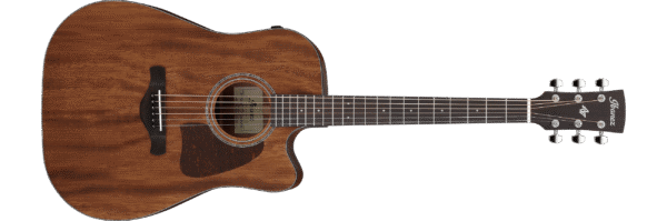 IBANEZ Artwood AW1040CE-OPN